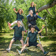 グランド　アップル