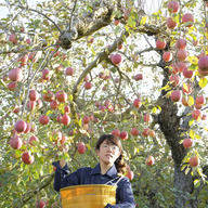 かねだゆか農園