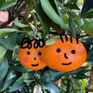 しげちゃん農園