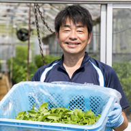 温室野菜 sano
