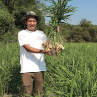 KUROFARM（クロファーム）