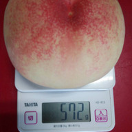 えんどう岡山白桃農園