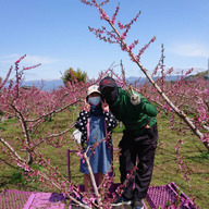 はなとりファーム