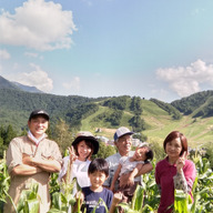 高原野菜市場　菜っ葉°