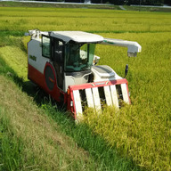 「たっちゃん」