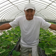 Strawberry farm 木村農園