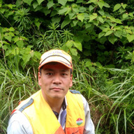 ナチュラル　フォレスト