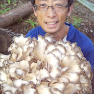 しまんと 田中菜園