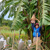てぃーだふぁーむ