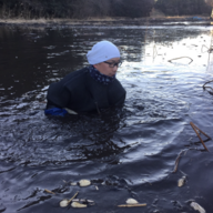 れんこん屋　小口
