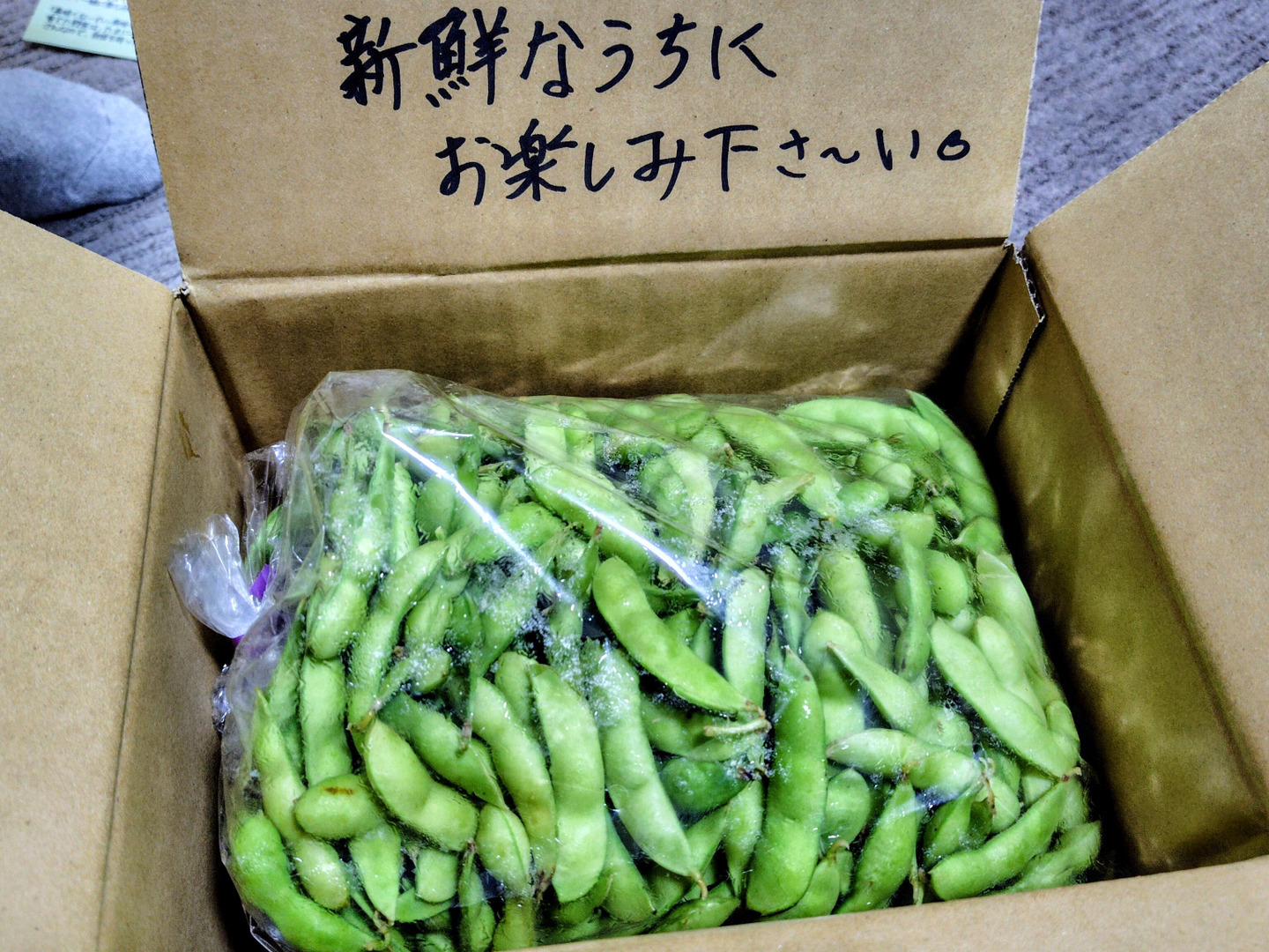 今日10月5日発送】【最終収穫日の肴豆】【希少】枝豆王国新潟から