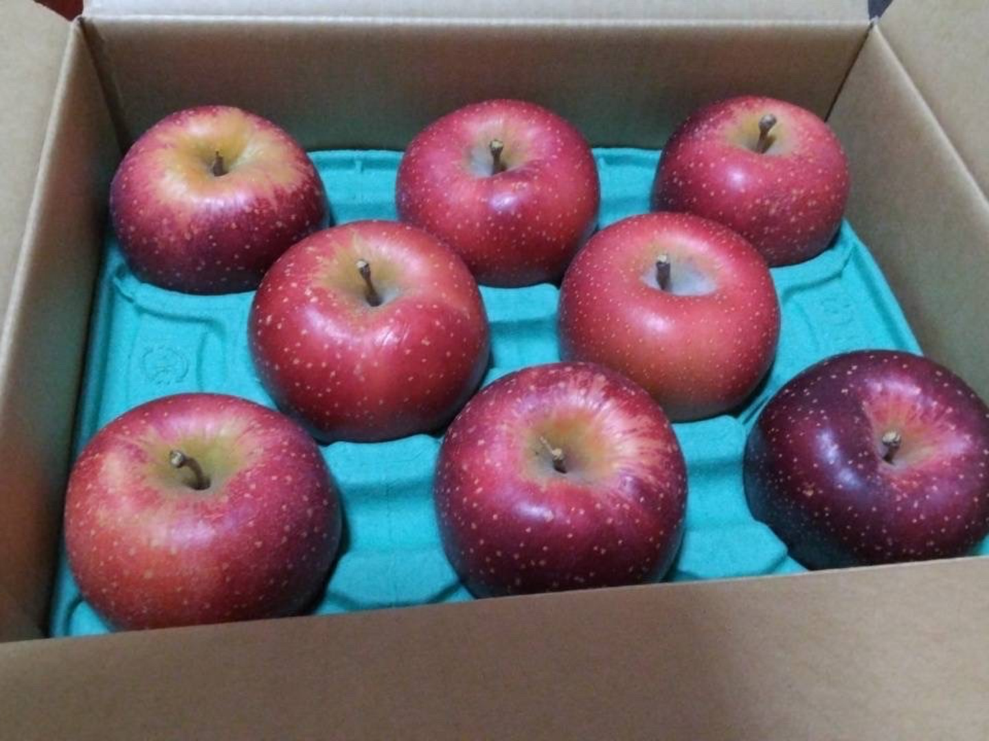 2025年度予約始めます🙇このりんご絶対食べて欲しい‼️甘くて