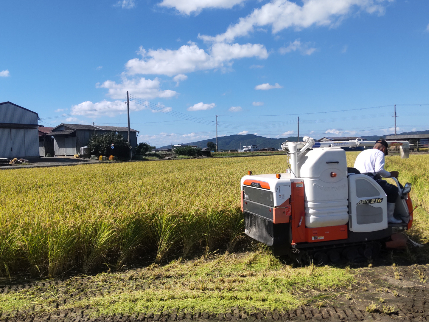 coha.skyy✴︎ 精米分　兵庫県淡路島産　令和5年キヌヒカリ coha.skyy✴︎様 専用 精米分 兵庫県淡路島産 令和5年キヌヒカリ