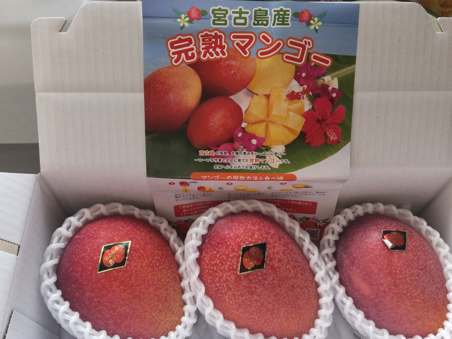 数量限定☆当園人気NO.1☆宮古島産完熟マンゴー1kg(ご家庭用)2