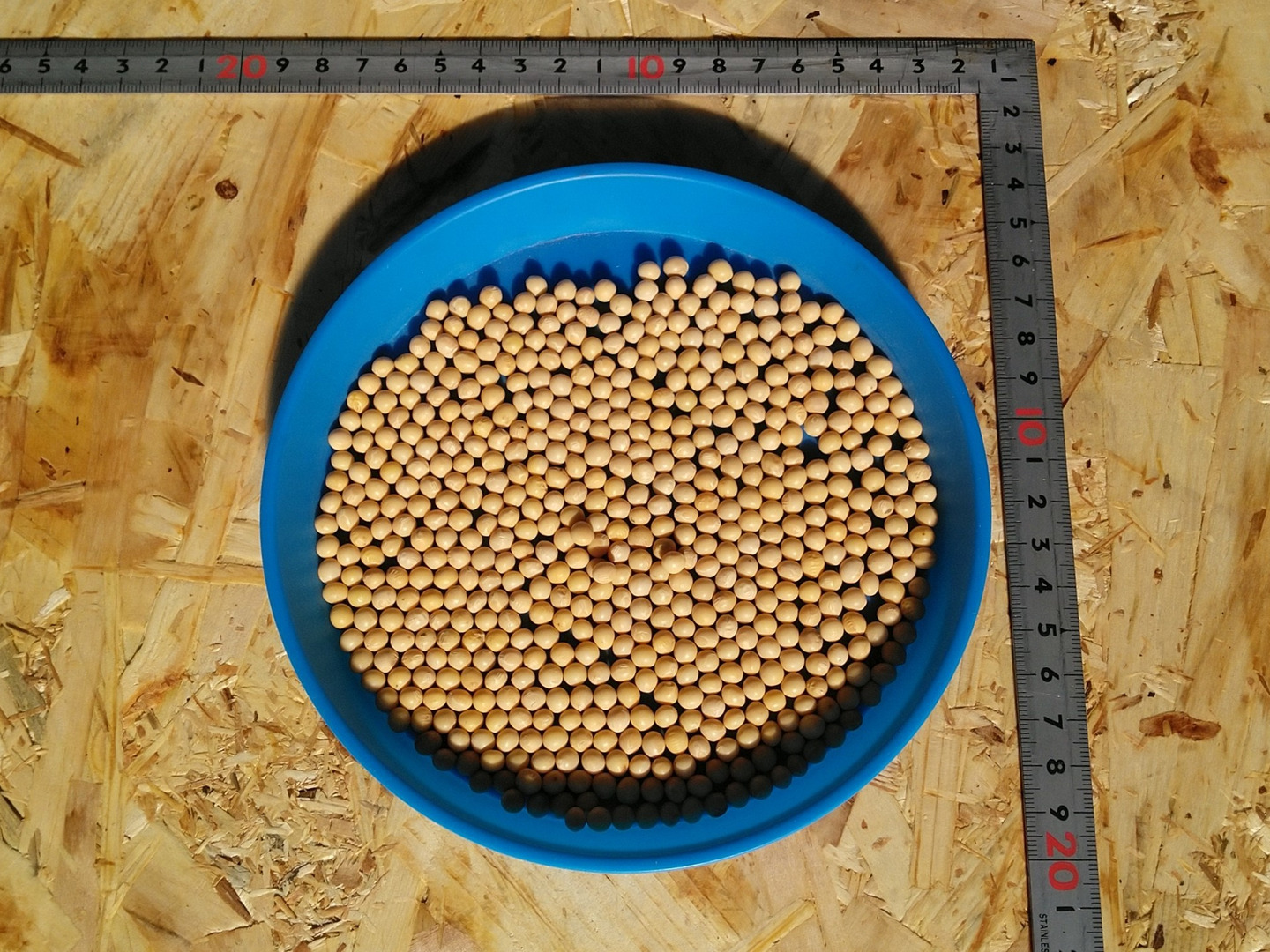 大豆　ブルー26 小粒大豆ユキシズカ900g 納豆向き！北海道十勝本別町 2024年産
