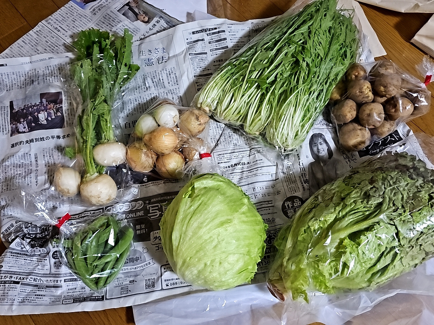 sasaki_seeds | 【久々の！今週、来週のお野菜セットM】 【9/15