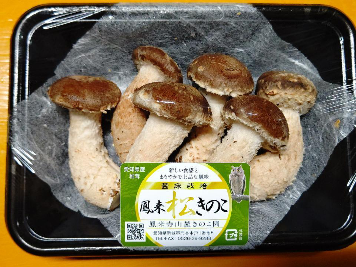 上品で深みのある味わいの鳳来松きのこセット（320g）：愛知県産