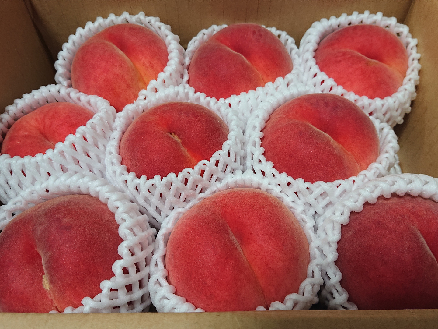 ご家庭用桃】品種おまかせ🍑2キロ🍑【届いた時は硬いが追熟