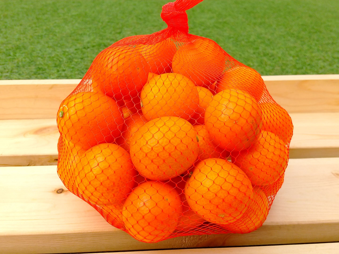 【新発売】 中キズあり❯ Mサイズきんかん(1kg) ガブっと！完熟ハウス 果物