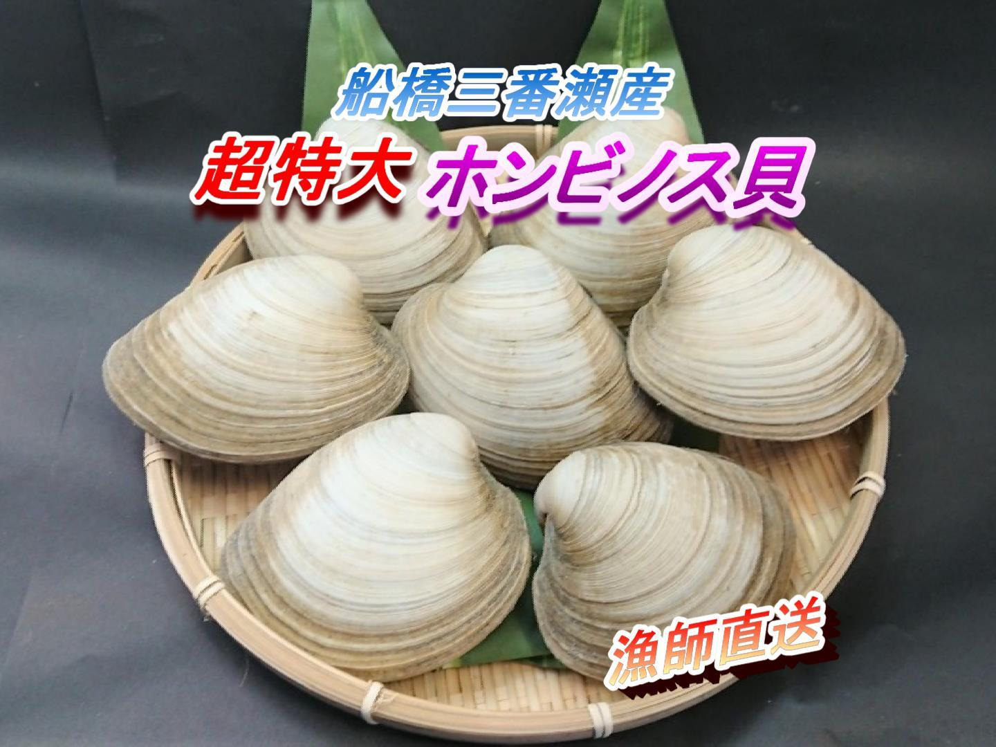 増量中】超特大ホンビノス貝12個⇒14個 (1個220g以上) 【三番瀬産