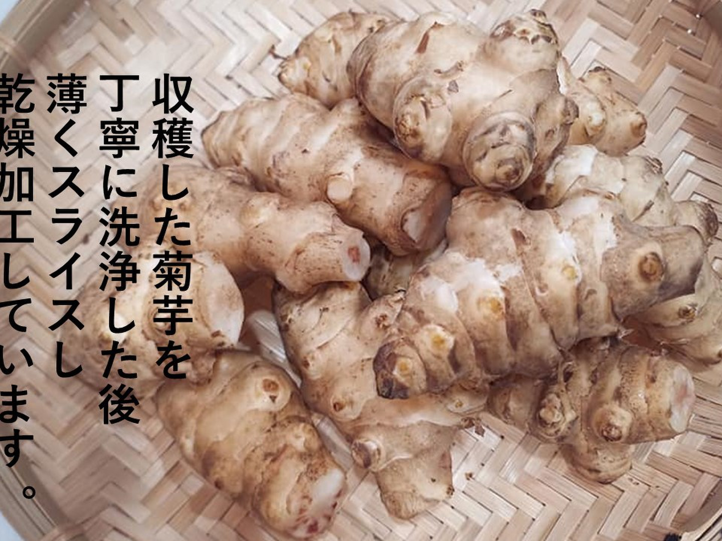 高知県産 菊芋パウダー 乾燥きくいも粉末 200g 50g×4袋セット