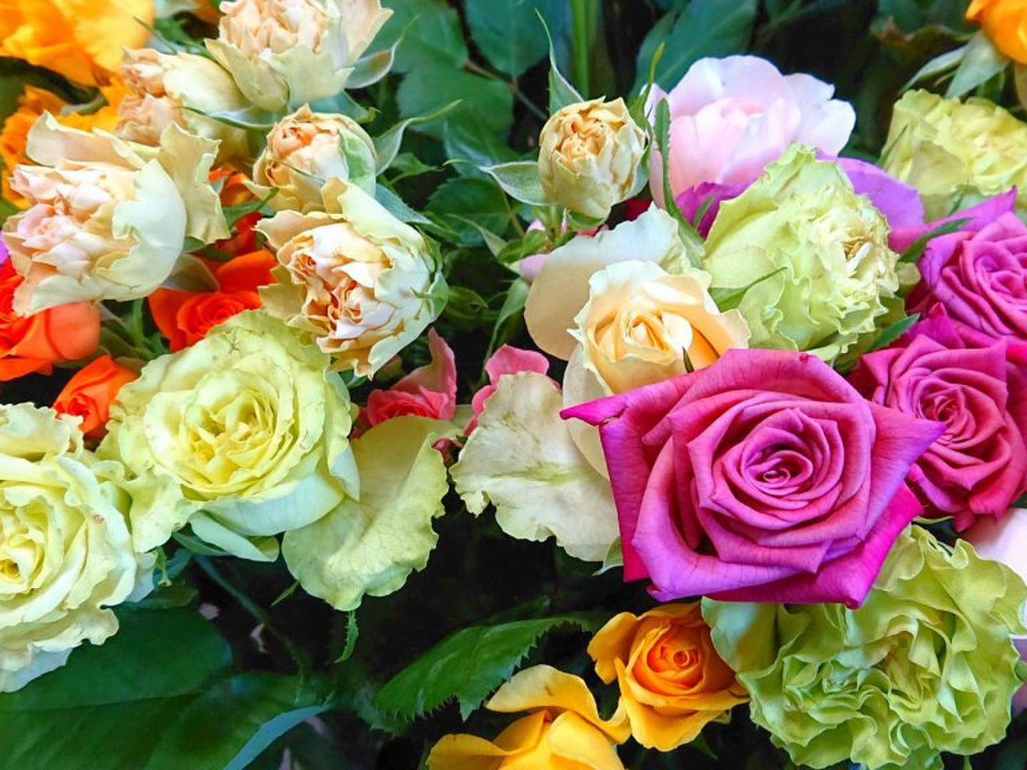 母の日ギフト】にゃんとも可愛い💖薔薇だけのボックス 母の日ギフト】にゃんとも可愛い💖薔薇だけのボックス