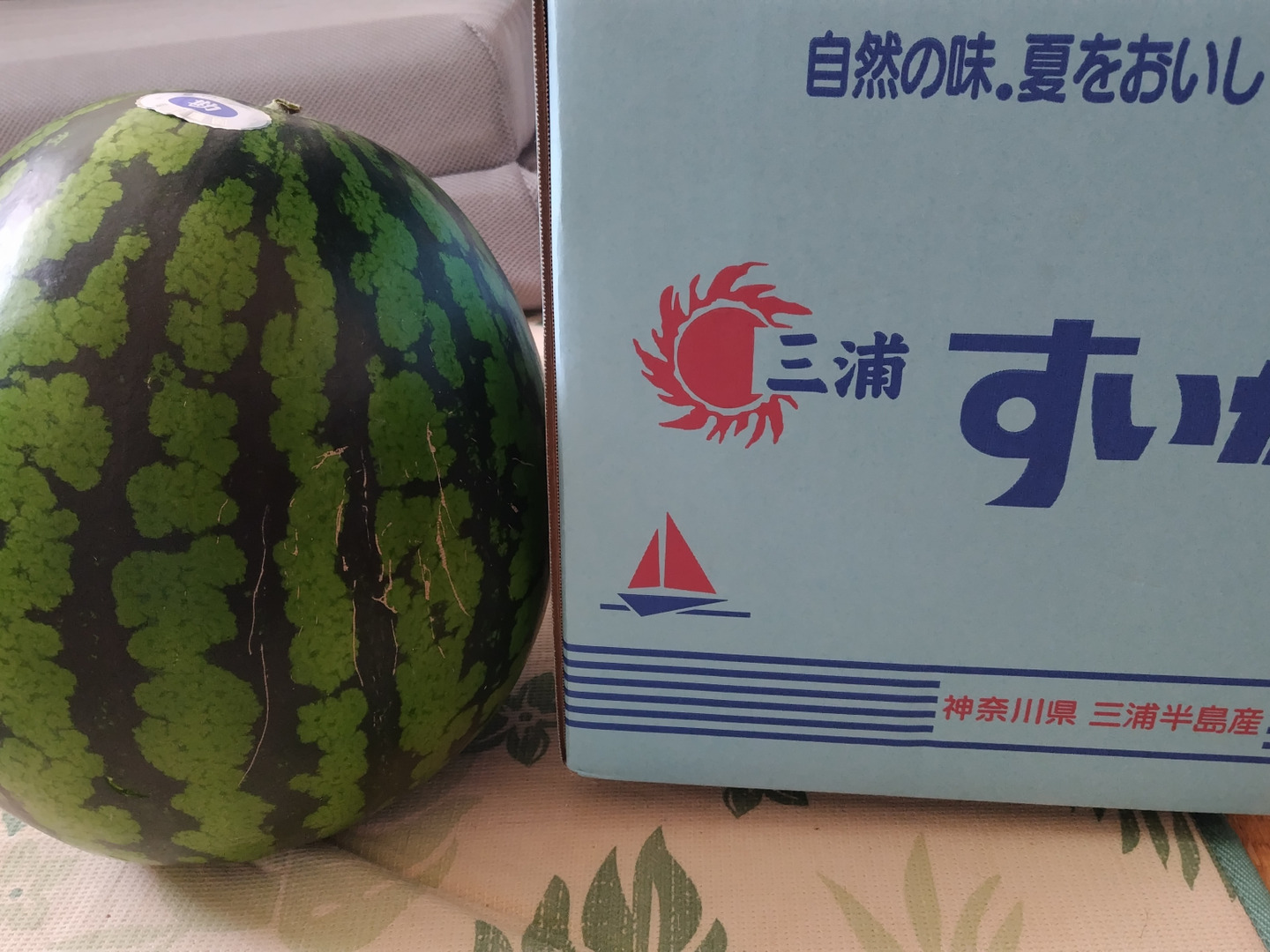 優♡三浦半島産♡産地直送♡大玉スイカ♡スイカ♡農家直送 優♡三浦半島産♡産地直送♡大玉スイカ♡スイカ♡農家直送