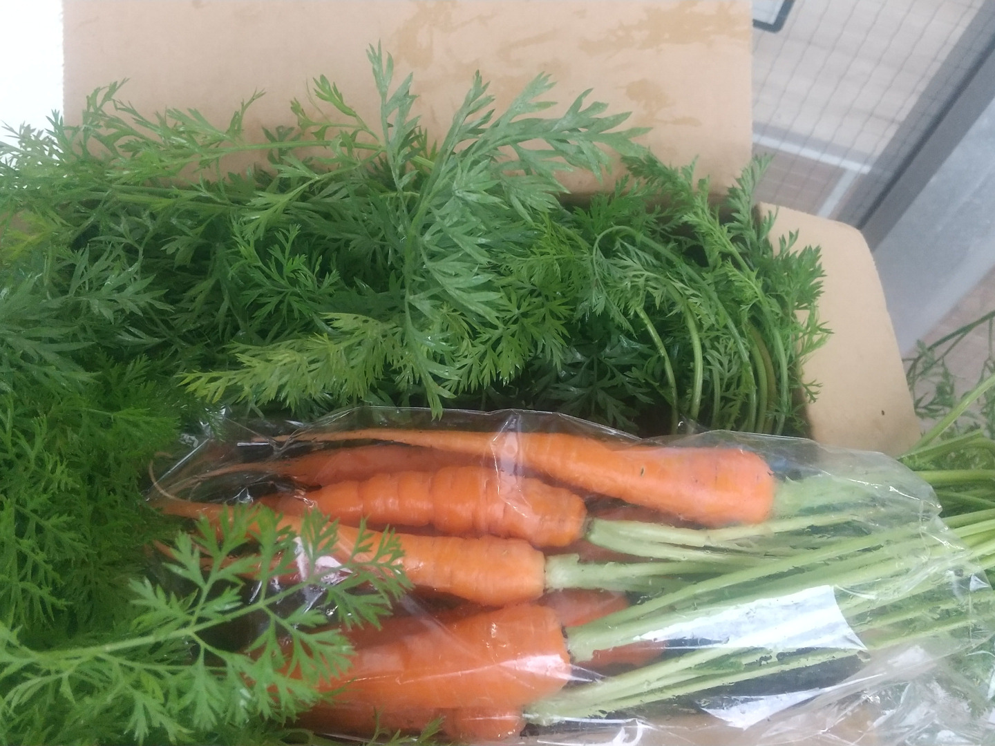 葉つき人参1.4kg位、農薬化学肥料除草剤不使用：神奈川県産のその他