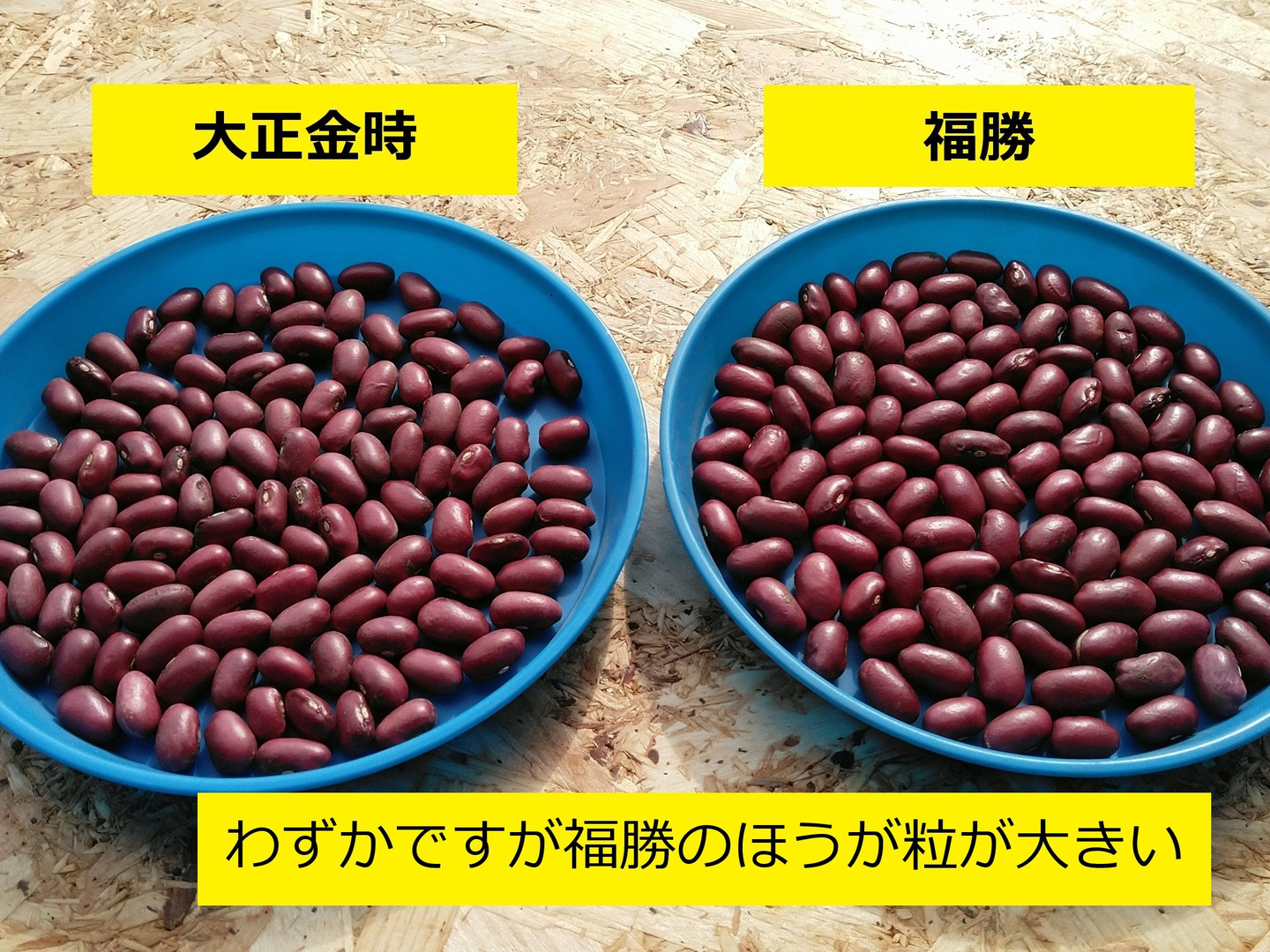 Amazon.co.jp: たらみ PURE 黄金パインゼリー 270g×6個 : 食品