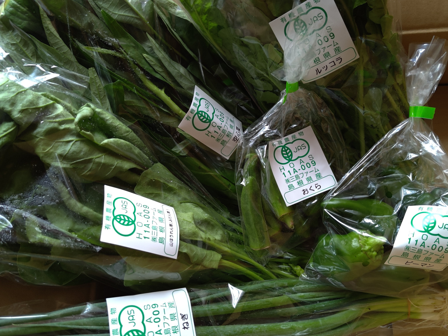 ベストセラー 採れたて！旬の有機野菜の詰め合わせ（お試し6種）：島根県産の 野菜