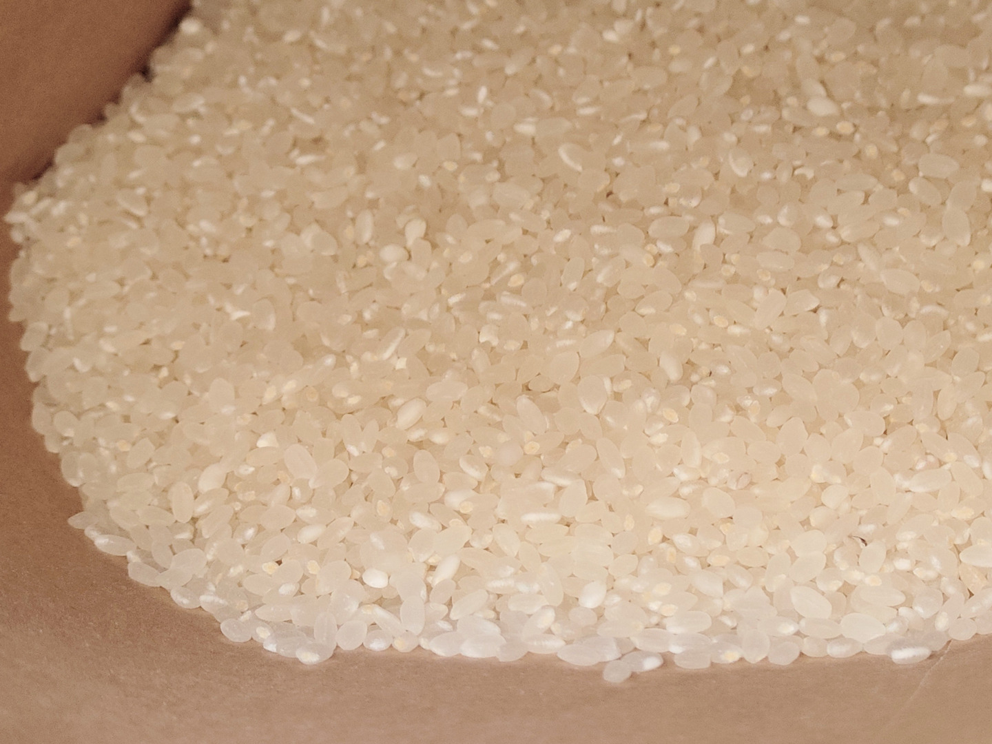 令和6年新米】山梨県産コシヒカリ【精米4.5kg】：山梨県産の