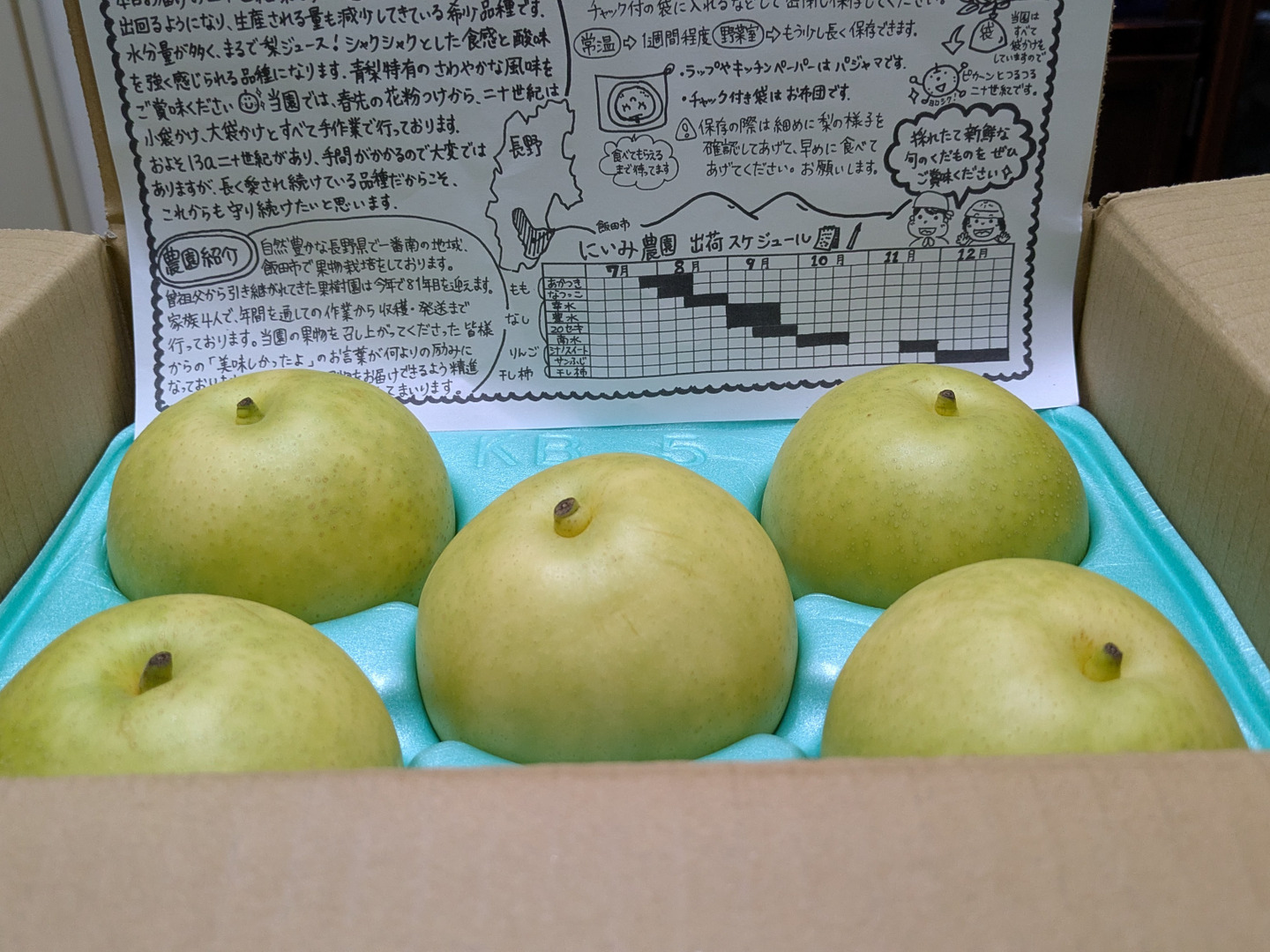 令和9年9月発送【予約】梨 二十世紀 良品 約2kg ‼️長野県産：長野県産