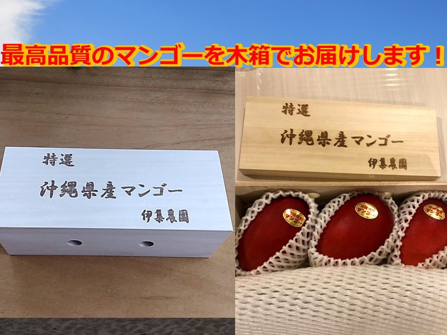 沖縄県産摘果マンゴー【箱込み10kg】 沖縄県産摘果マンゴー【箱込み10kg】 - メルカリ
