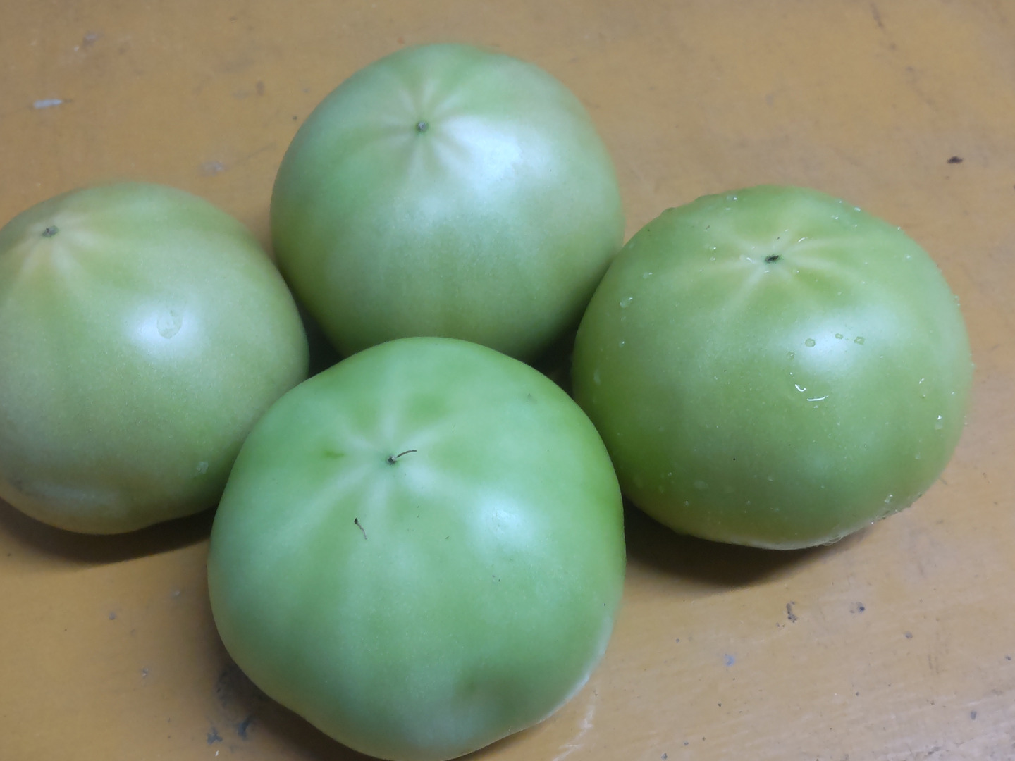 楽天市場】規格外（トマト｜野菜・きのこ）：食品の通販