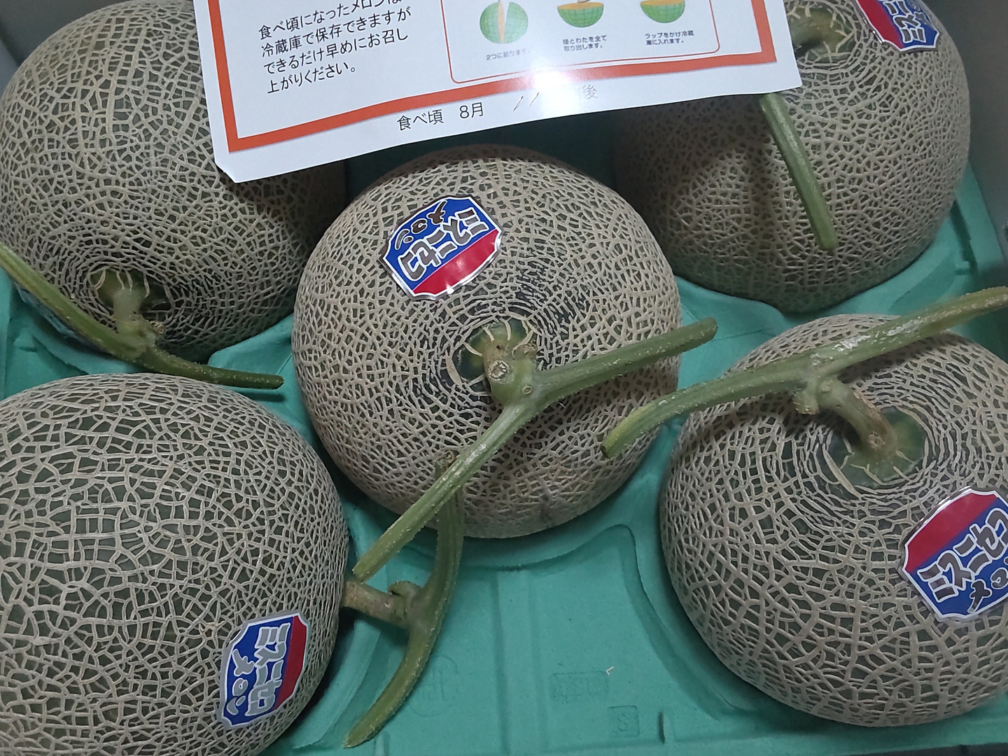 ☆訳あり赤肉メロン☆ 5〜6玉入【北海道産】8月上旬発送：北海道