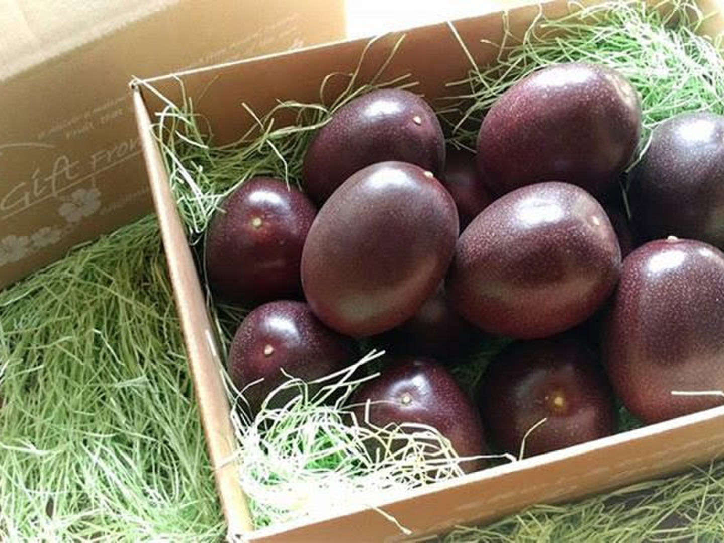 RTMT様☆L玉6.0kg+規格外500g パッションフルーツ 🌿予約【2024年6月～随時発送】✿ご家庭用✿完熟パッション