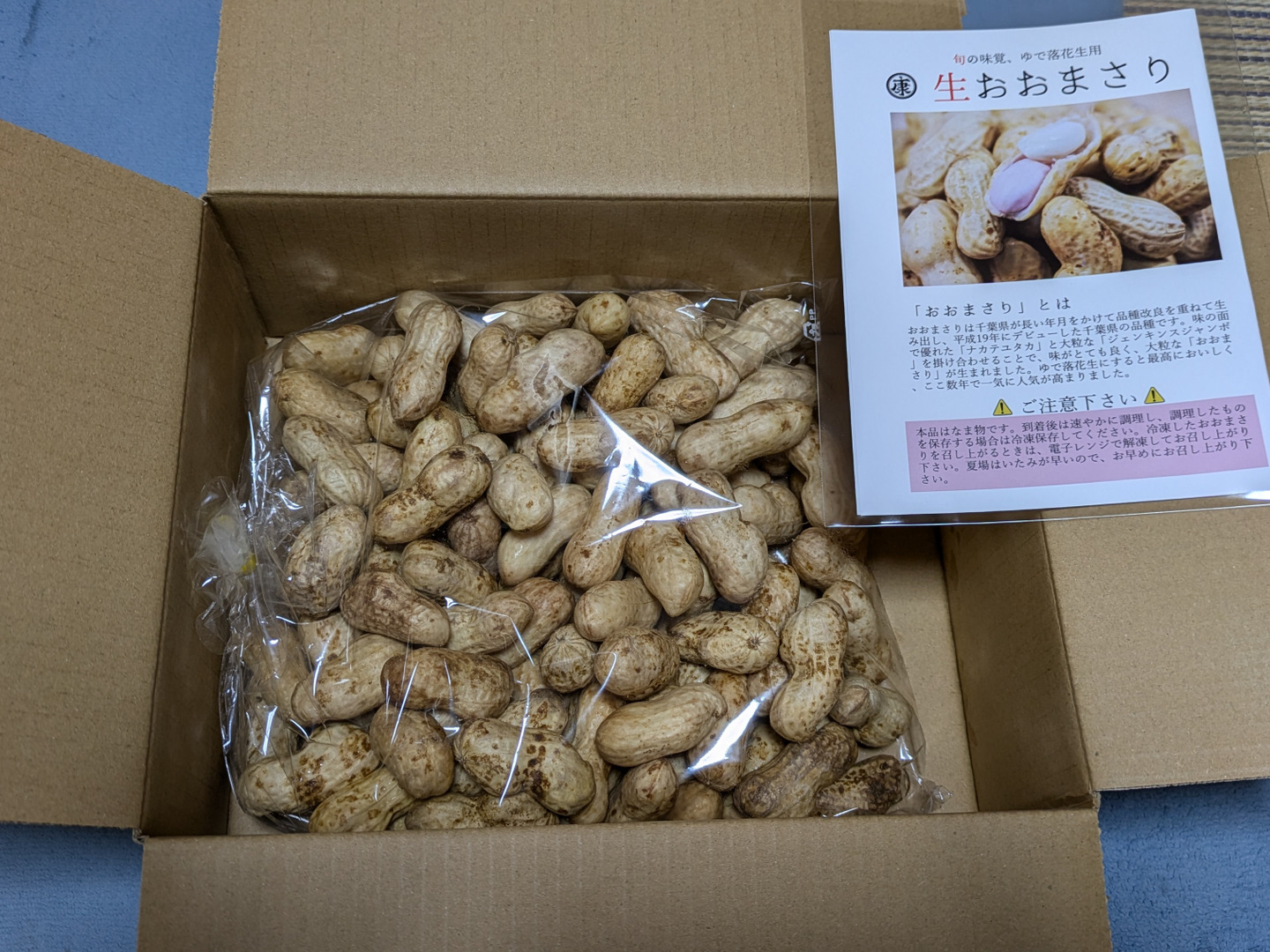 旬物】ぷりぷり大粒！千葉県産おおまさり1kg 食べ応えバツグンの