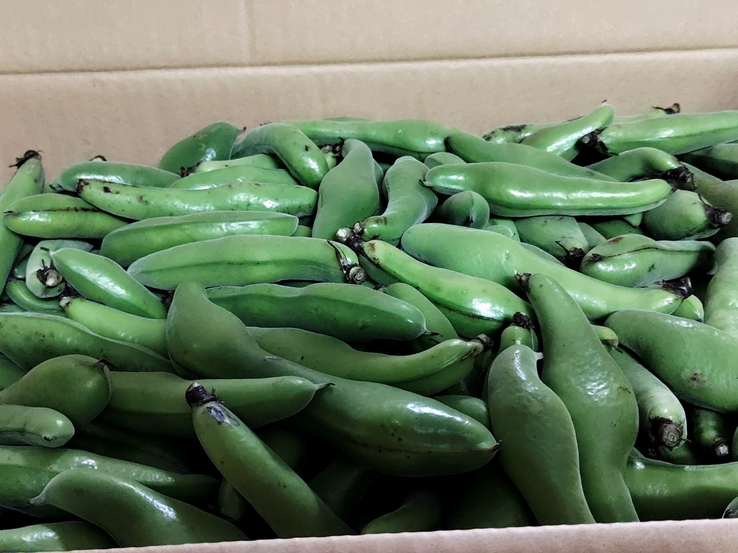 専用ページa26 専用ページ)WALKMAN NW-A36HN(ブラック) 32GB ソニー ウォークマン NW