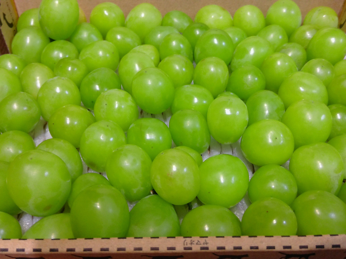大特価商品！】岡山県産 訳アリシャインマスカット 粒 約2kg：岡山県産