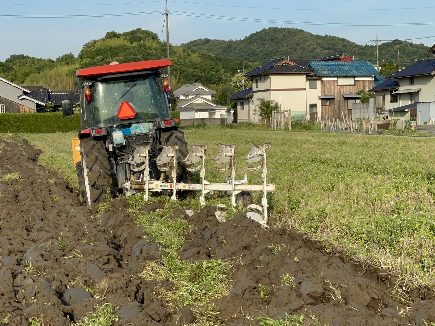 ラスト🎉🔵令和6年産 🔵 化学肥料不使用‼️クローバーで育てた幻