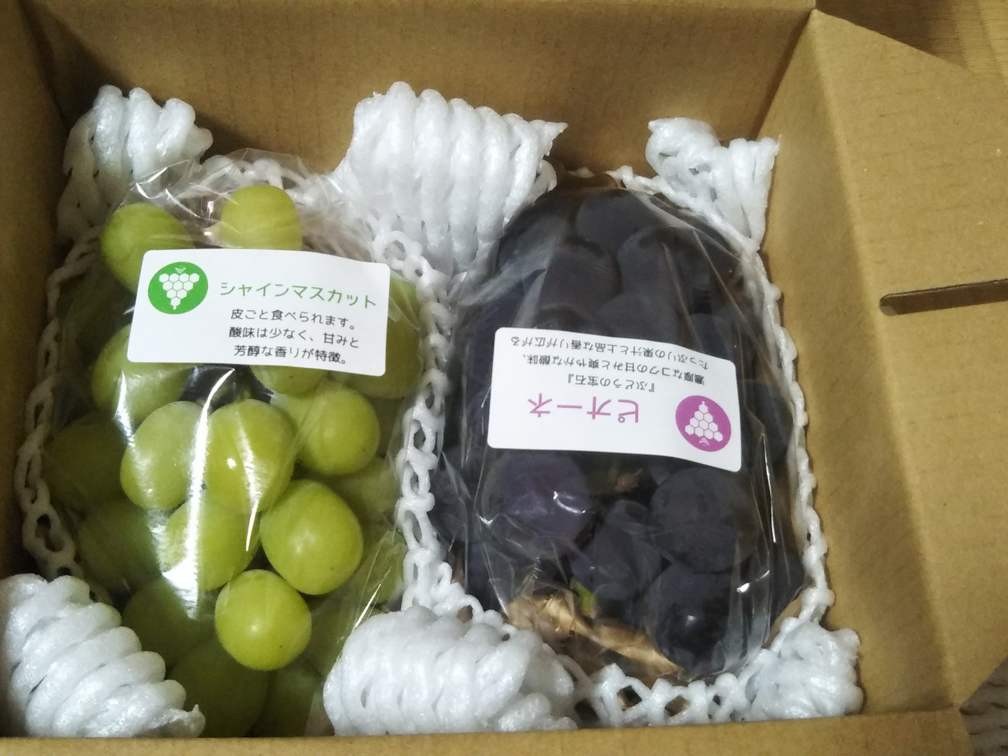 家庭用ぶどう詰め合わせ　3kg 8/21-31：ご家庭用2～3房】旬のぶどう詰め合わせ（品種おまかせ