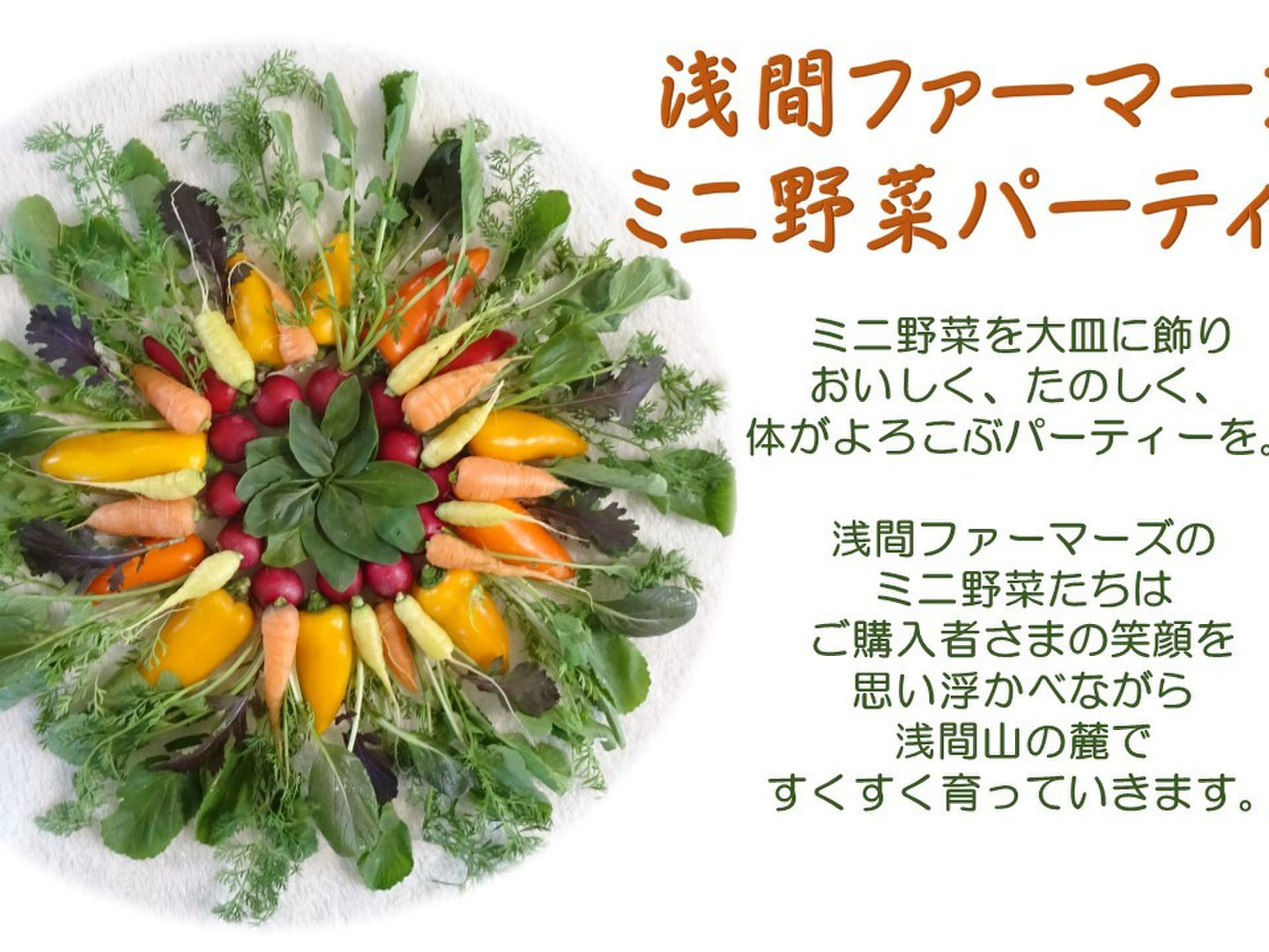 あま〜い有機ミニ人参入り！ミニ有機野菜おまかせ10点セット【L