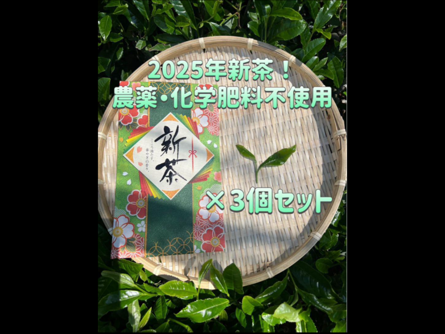 ひさえ様専用ページ＊【苦くない緑茶】伝統とこだわりの味
