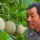 能瀬メロン