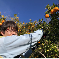 ヤマサ農園(さとうさんち)