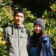 aotokuru from MIKAN farm in tokushima