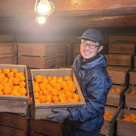 蔵出しみかんの藤原農園