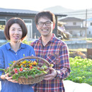 Farmer‘s Yard