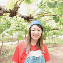 OEC KINGDOM ぶどう家