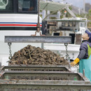 中野水産